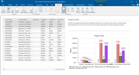 project units report