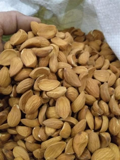 American Almond Nut At Rs 800 Kg In Jodhpur ID 25389822433