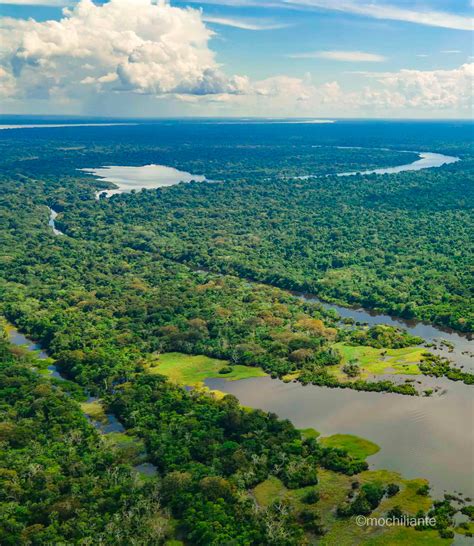 La Maravillosa Selva del Amazonas Colombiana | Mochiliante