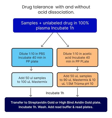 Msd Assay Immunogenicity Assay Northeast Biolab