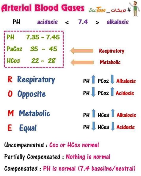 Abg Quiz With Answers Abg Practice Quiz 1 15