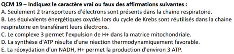 Chaîne Respiratoire Ue1 Biomolécules Tutorat Associatif Toulousain