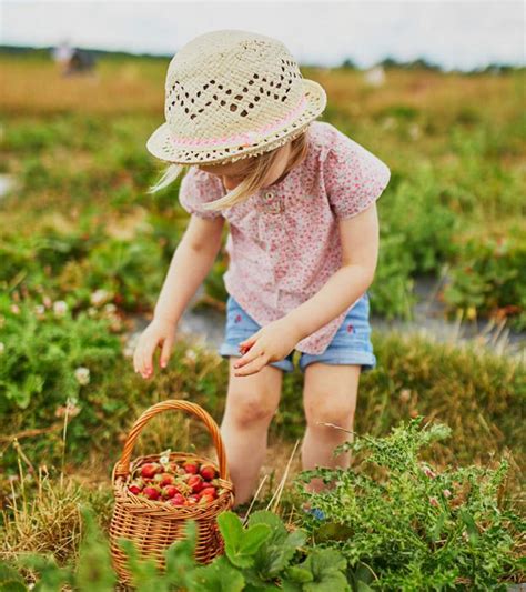 22 Farm Activities For Preschoolers And Toddlers