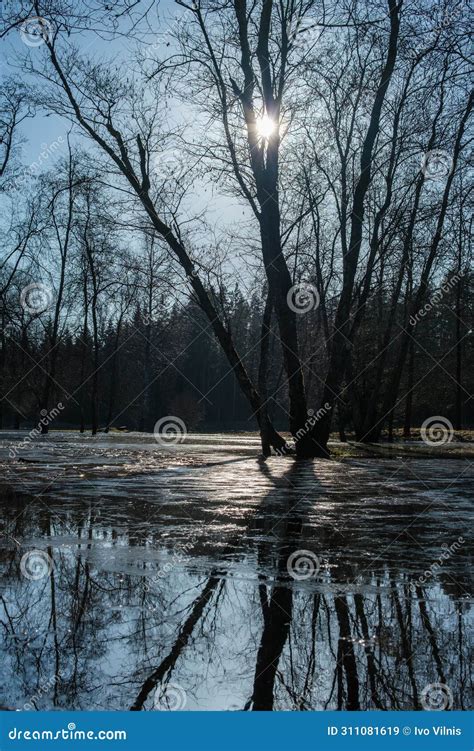 Cesis Catastrophe Gauja River Floods Campsite In Latvian Wilderness