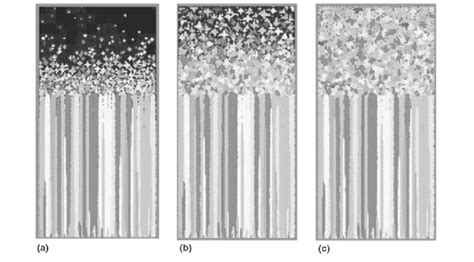 Simulated Microstructure A Columnar Cellular Dendritic Morphology