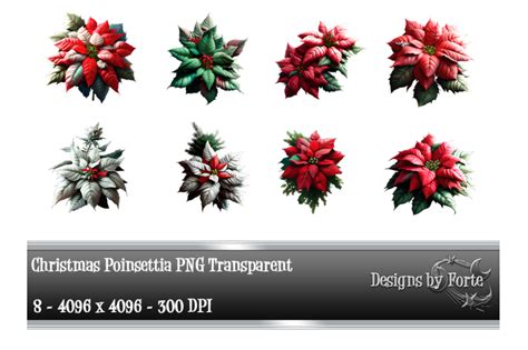 Christmas Poinsettia Graphics PNG By Designs by Forte | TheHungryJPEG