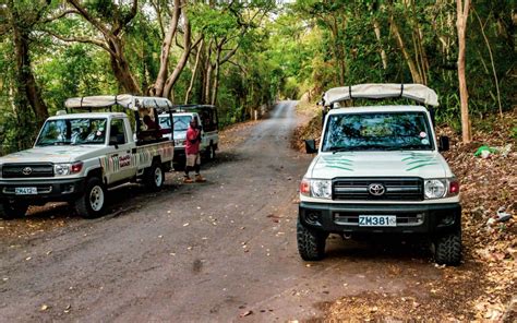 Island Safari in Island Tours at Barbados Info | Barbados visitor ...