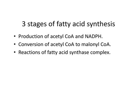 De Novo Synthesis Of Fatty Acids 7
