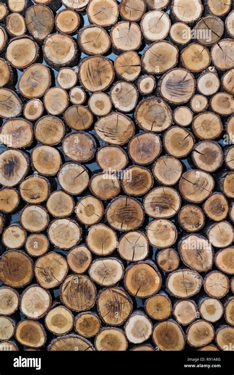 Stacked Wood Logs As Texture Background Stock Photo Alamy