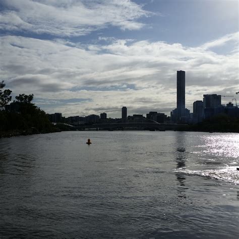 Living in the city isn't ALL bad – Eight Acres Natural Living