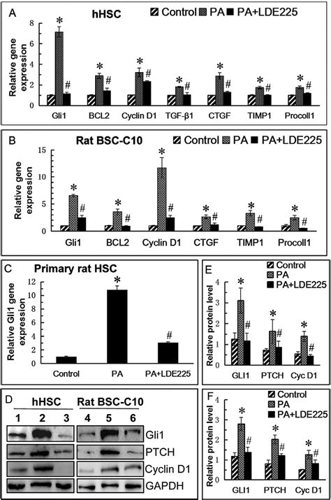 Figure 3 From Palmitic Acid Elicits Hepatic Stellate Cell Activation