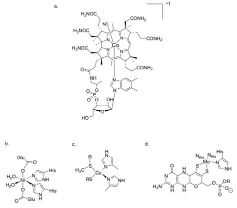 2: Metals in Bioinorganic Redox - Chemistry LibreTexts