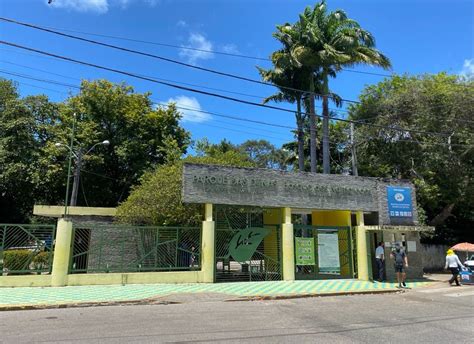 Confira programação do Parque das Dunas para o Dia Nacional da Mata