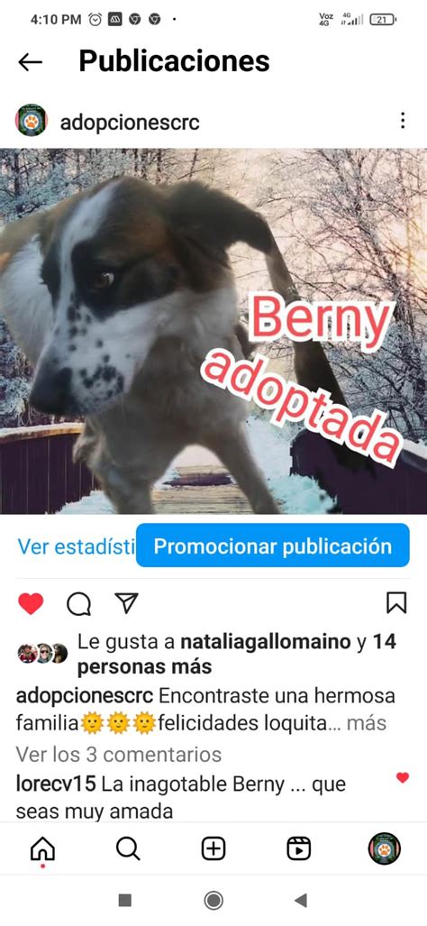 Tenemos Hogar Adopciones Crc U Oa