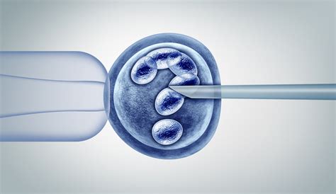 Trasferimento Nucleare Di Cellule Somatiche