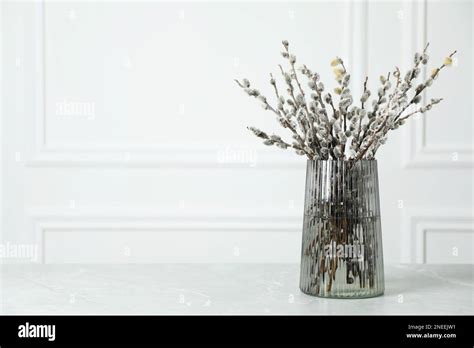 Beautiful Pussy Willow Branches In Glass Vase On Light Grey Marble Table Space For Text Stock