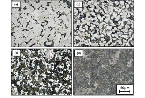 Metallographic Images Of Aisi A B C And D