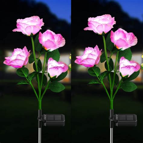 Beautiful Rose Solar Flower Garden Lights – Reinsho