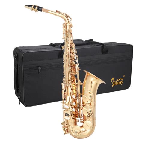 Glarry Professional Eb Alto Saxophone Kit With 11 Reedscasecarekit