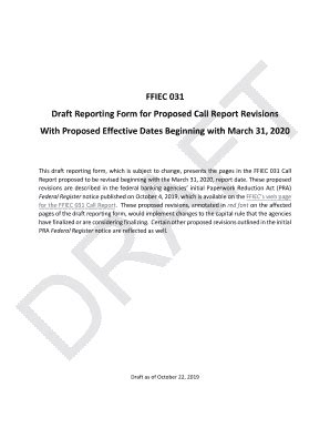 Fillable Online FFIEC 031 Draft Revisions To The Call Report Forms And