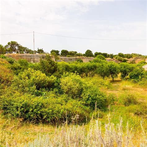 The Parco Delle Dune Costiere Is Located Between Torre Canne And