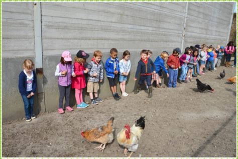 Visite La Ferme De Le Vall E Ecoles Sainte Lutgarde Lasne