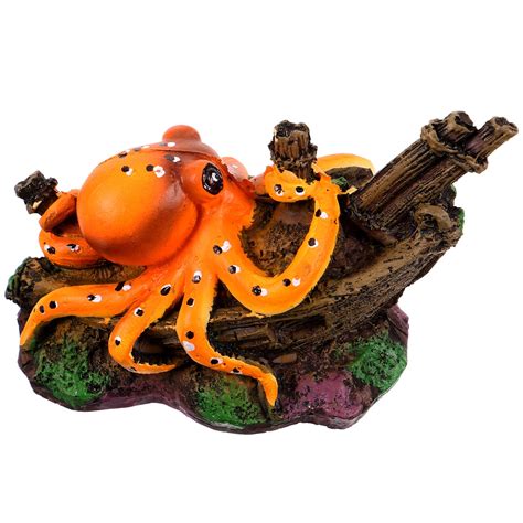 Freshwater Octopus