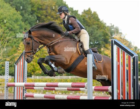 Jungpferd Springt Fotos Und Bildmaterial In Hoher Aufl Sung Alamy