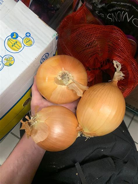 These Big Ass Onions R Mildlyinteresting