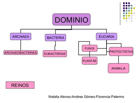 Dominios Y Reinos Biology Quizizz