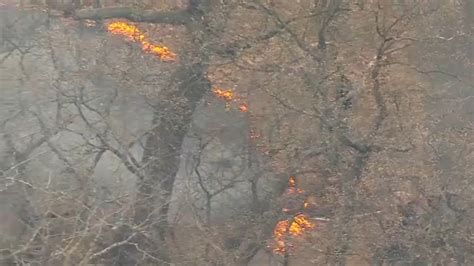 Woodland fire warning issued in Westchester County, officials say dry ...