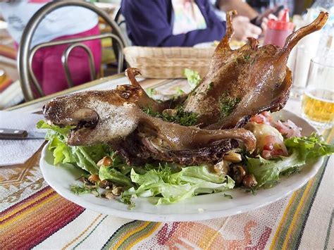 Comidas Tipicas De La Region Sierra Del Ecuador Porn Sex Picture