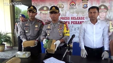 Polres Pekanbaru Gagalkan Peredaran 6 Kilogram Ganja Jaringan Lapas