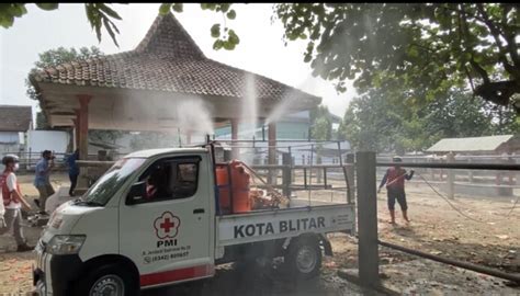 Dapati Sapi Suspek Pmk Pemkot Blitar Tutup Sementara Pasar Hewan Dimoro