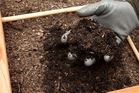 Uso Del Compost Mejora La Calidad Del Suelo Y La Resistencia Contra