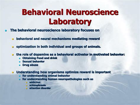 PPT - Behavioral Neuroscience Laboratories PowerPoint Presentation - ID ...