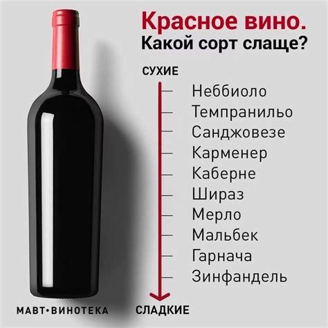 Красное вино in 2024 | Cocktail drinks recipes, Alcohol bar, Alcohol ...