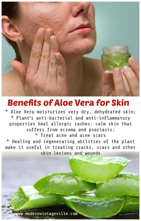 7 Amazing Homemade Beauty Products With Aloe Vera Aloe Vera For Skin