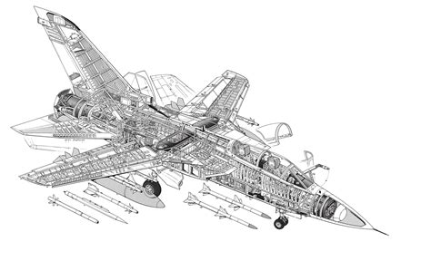 Panavia Tornado ADV Cutaway Drawing in High quality