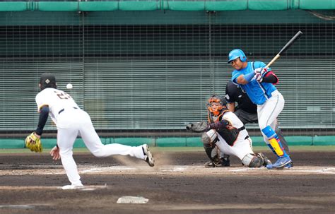 【巨人】移籍の高橋礼、再浮上へ2回完全 阿部監督掲げる“ど真ん中論”が開幕ローテへ後押し プロ野球写真ニュース 日刊スポーツ