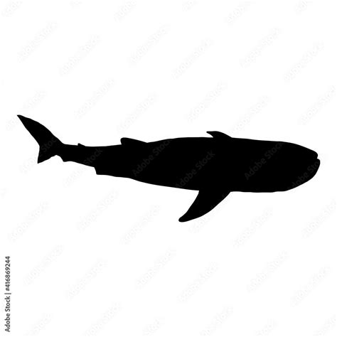 Vector Black Silhouette of Whale Shark. Stock Vector | Adobe Stock