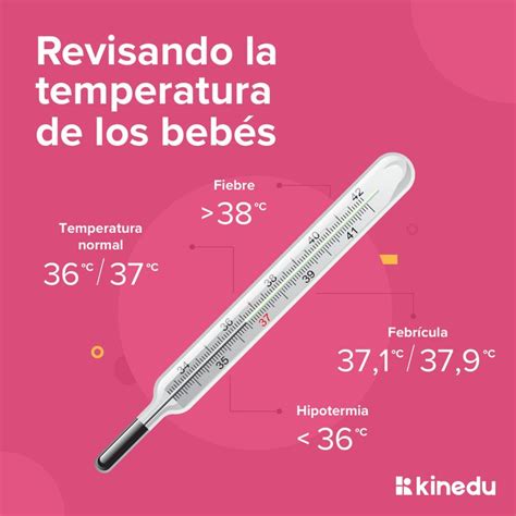 Gu A Practica Para Revisar La Temperatura De Los Beb S Salud Revista