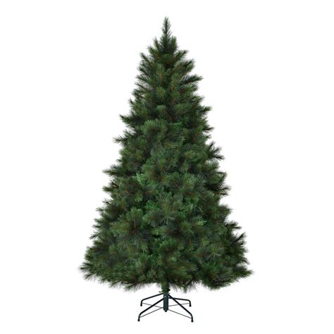 12ft Washington Fir Christmas Tree Christmas Trees