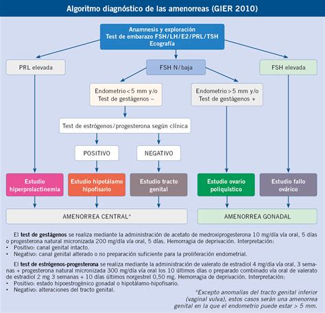 Exploración ginecológica y alteraciones más frecuentes del ciclo