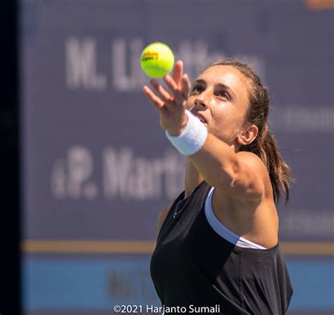 Mubadala Silicon Valley Classic San Jose Petra Mart