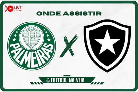 Palmeiras x Botafogo ao vivo e online onde assistir horário e