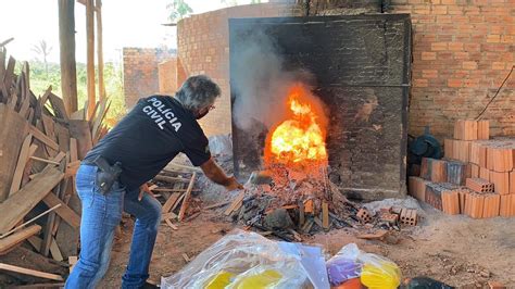 Mais De Quilos De Drogas S O Incinerados Em Humait Amazonas G