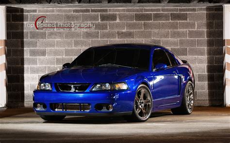 🔥 [30+] 2003 Ford Mustang Cobra Terminator Wallpapers | WallpaperSafari