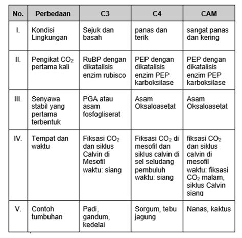 Tumbuhan Berikut Ini Yang Akan Membentuk Senyawa S