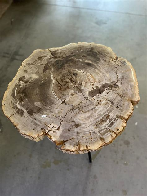 Table Basse En Bois Fossilis Mazawood Menuiserie